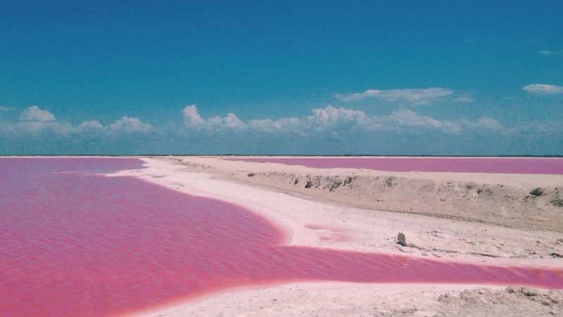 Lugares: Conheça os nove lagos rosas pelo mundo