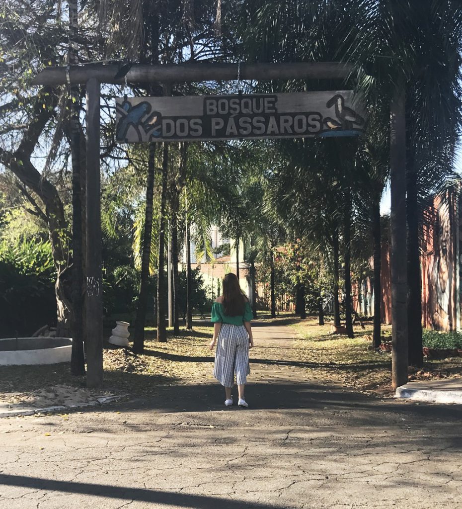 Bosque dos Pássaros Setor Sul Goiânia lary di lua