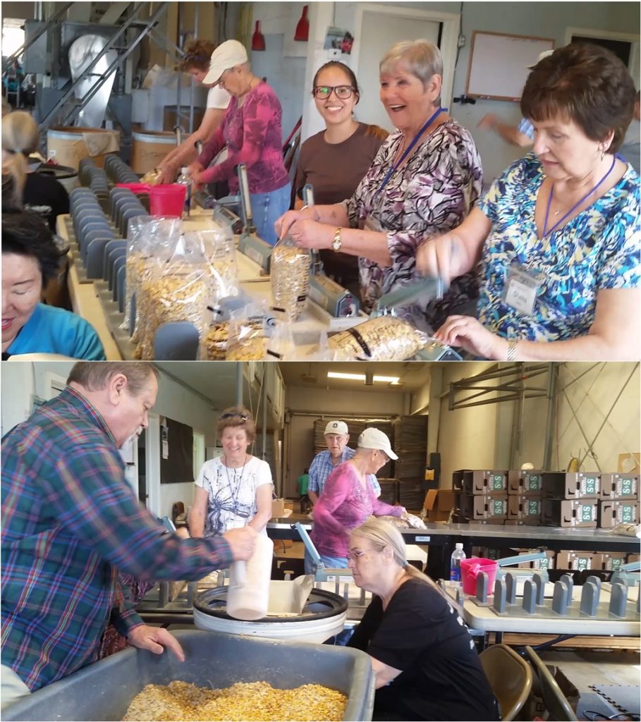 Gleanings for the Hungry - meu voluntariado na Califórnia lary di lua