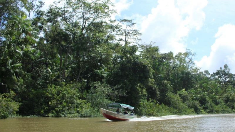 O que fazer na Ilha do Combu no Pará?