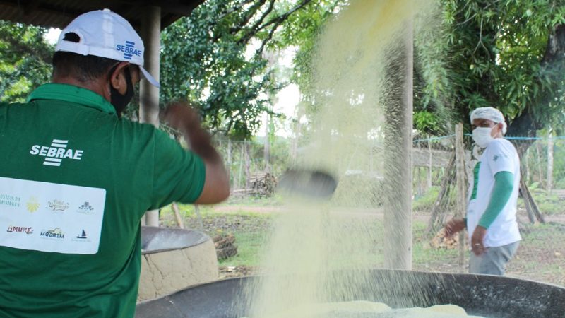 Tudo o que você precisa saber sobre a Rota Amazônia Atlântica