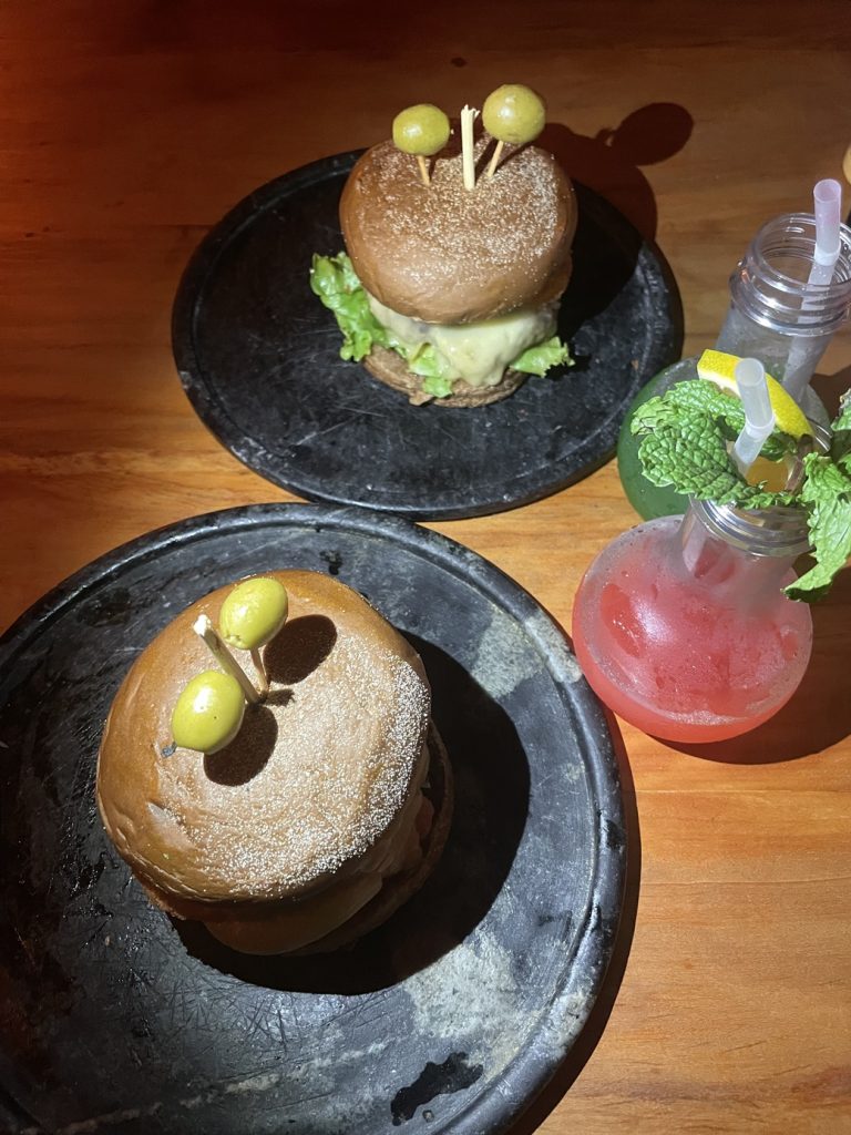 Melhores Hamburguerias Gourmet de Goiânia em 2023 lary di lua